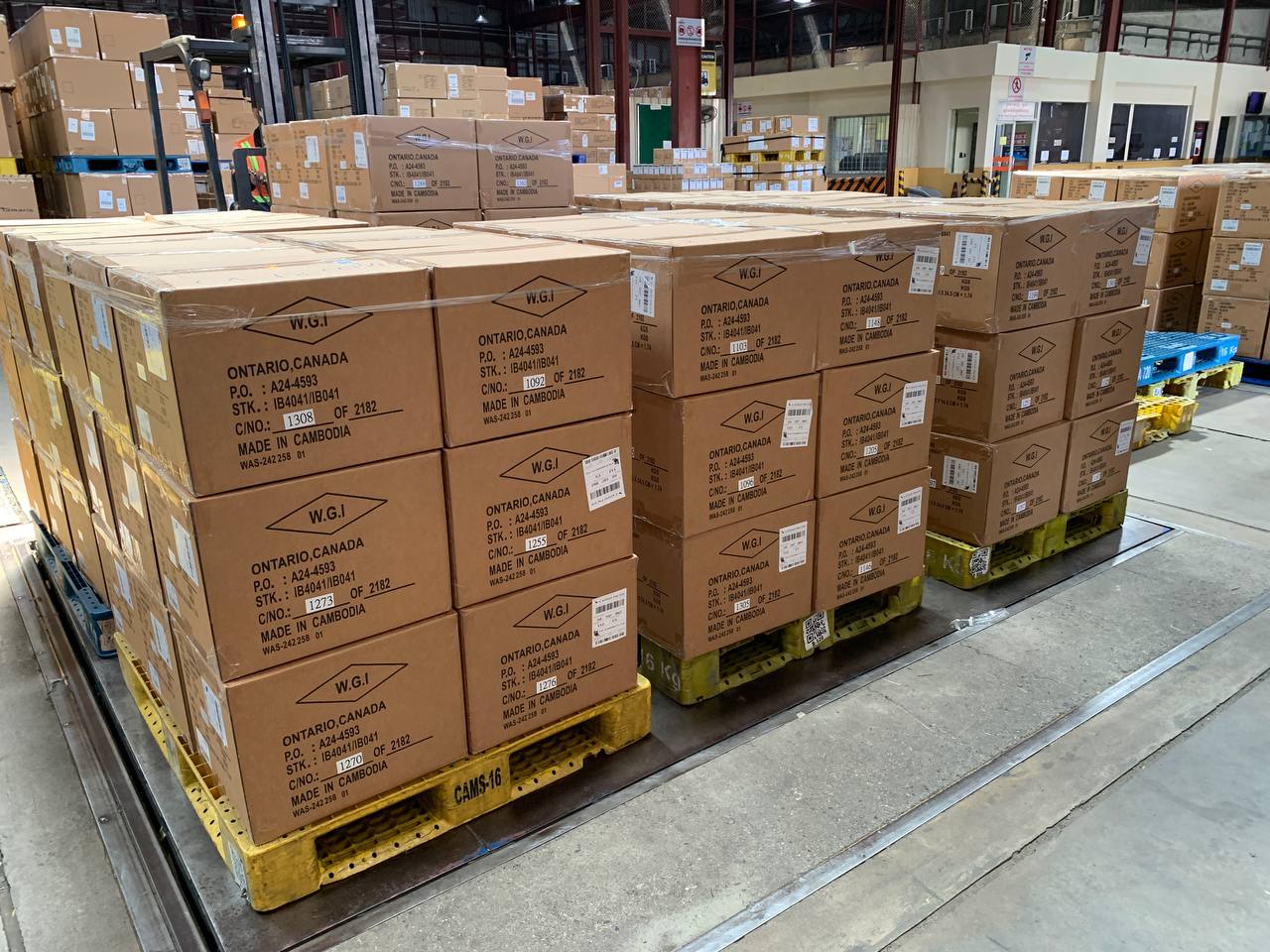 Logistics Worker Managing Shipments